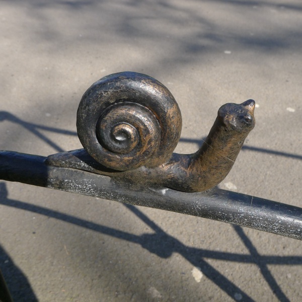Snail on fence